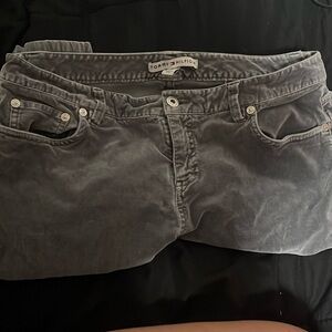 Gray velvet size 10 women’s Tommy Hilfiger pants